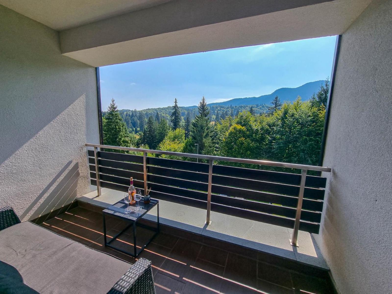Silver Mountain G1 21 R Poiana Brasov Luaran gambar